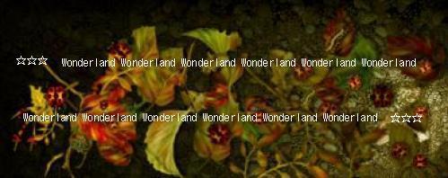 Wonderland